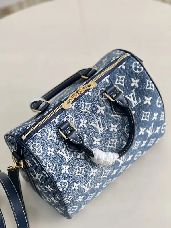 Cheap Louis Vuitton SPEEDY 25 0125