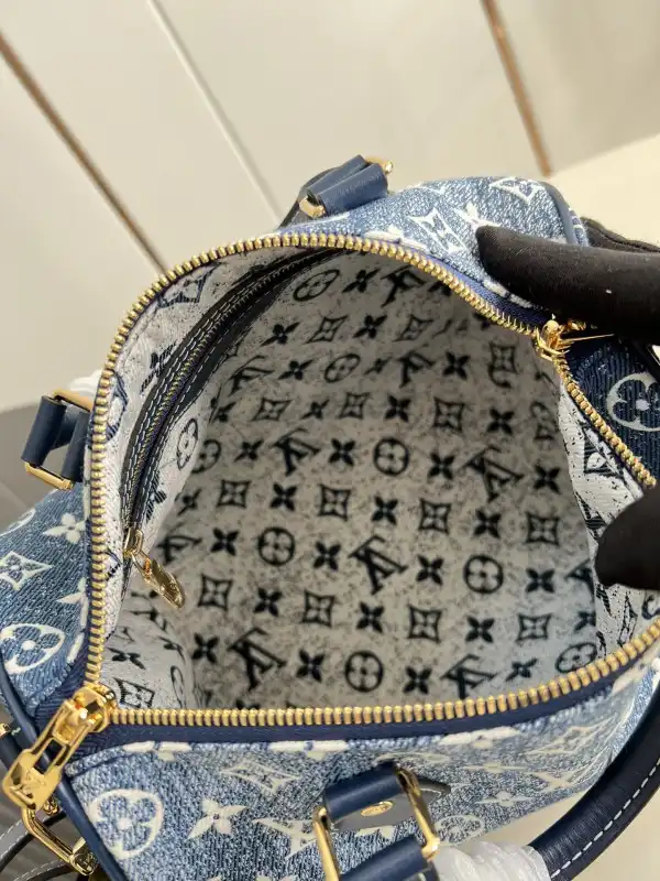 Cheap Louis Vuitton SPEEDY 25 0125