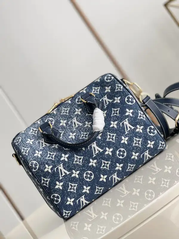 Cheap Louis Vuitton SPEEDY 25 0125