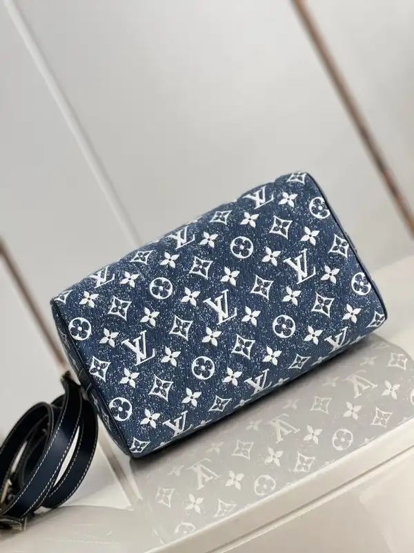 Cheap Louis Vuitton SPEEDY 25 0125