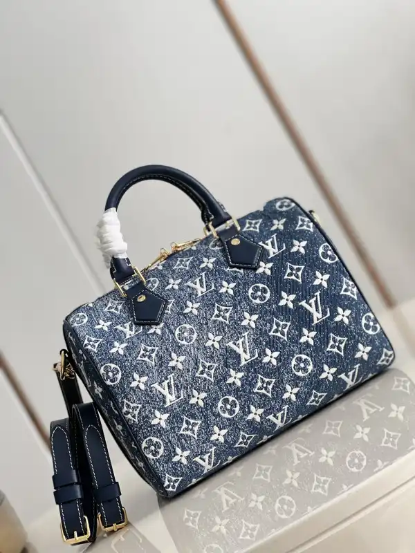 Cheap Louis Vuitton SPEEDY 25 0125